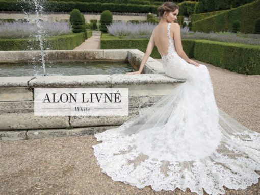 Alon Livne