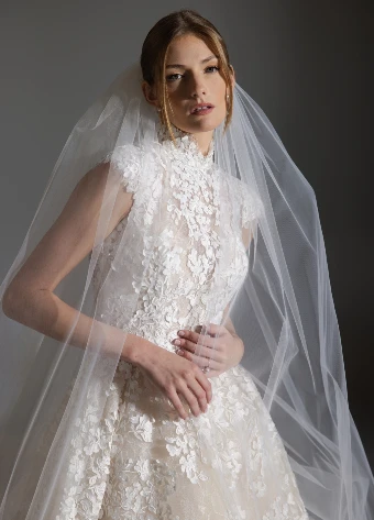 Lazaro Ashley #6 thumbnail