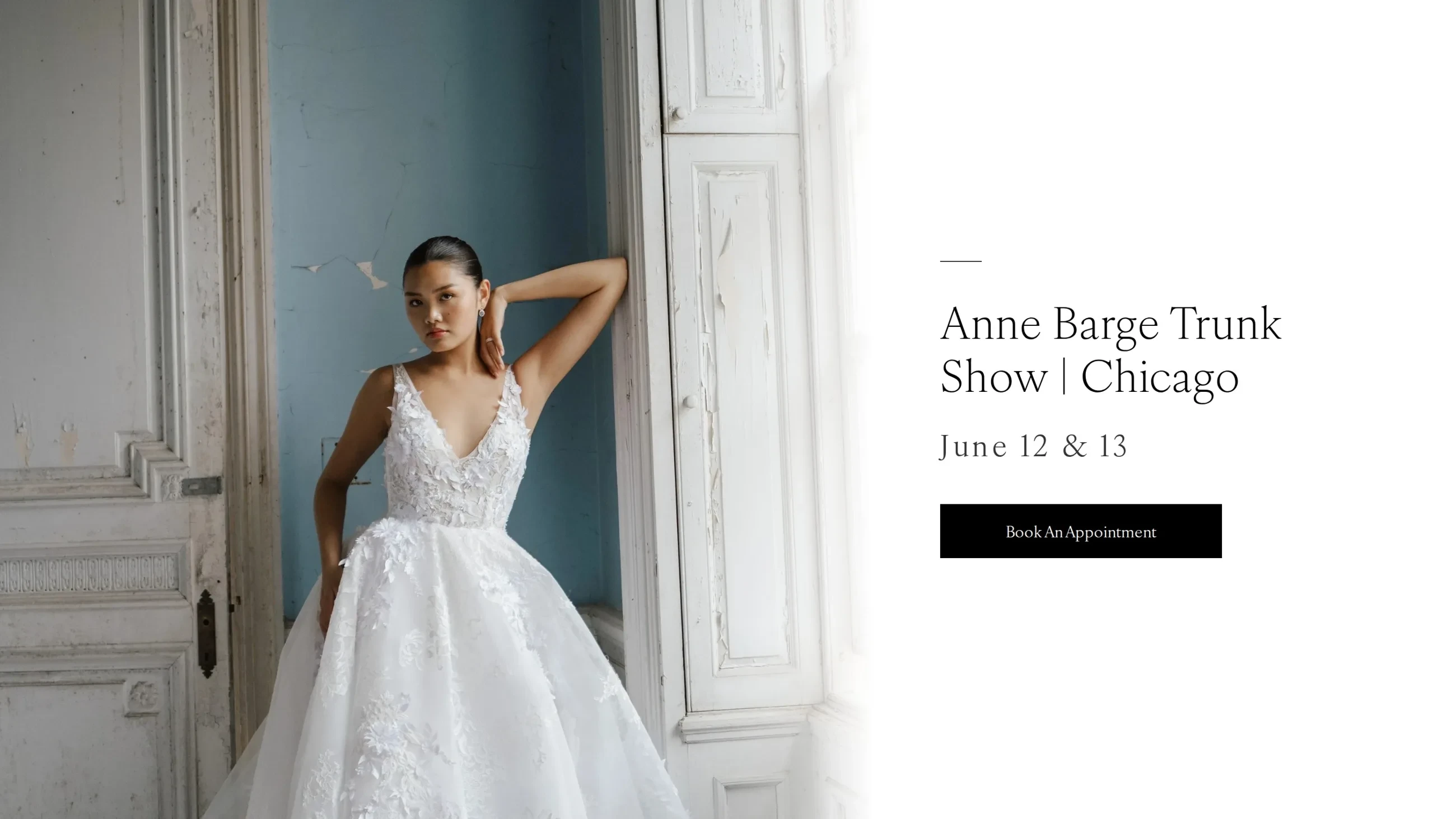 Model wearing Anne Barge Trunk Show desktop banner