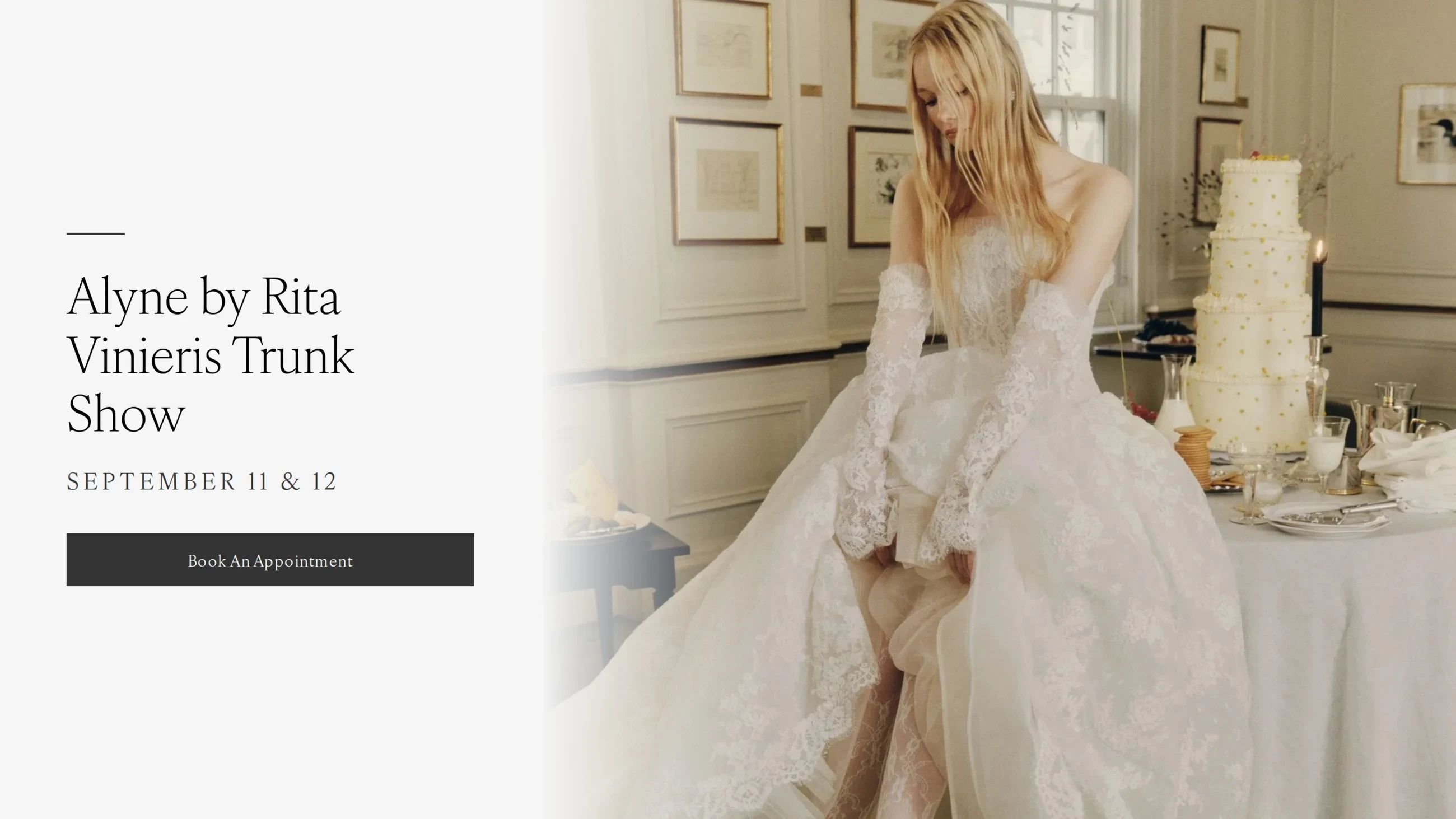 Model wearing Alyne by Rita Vinieris bridal dress, trunk show desktop banner