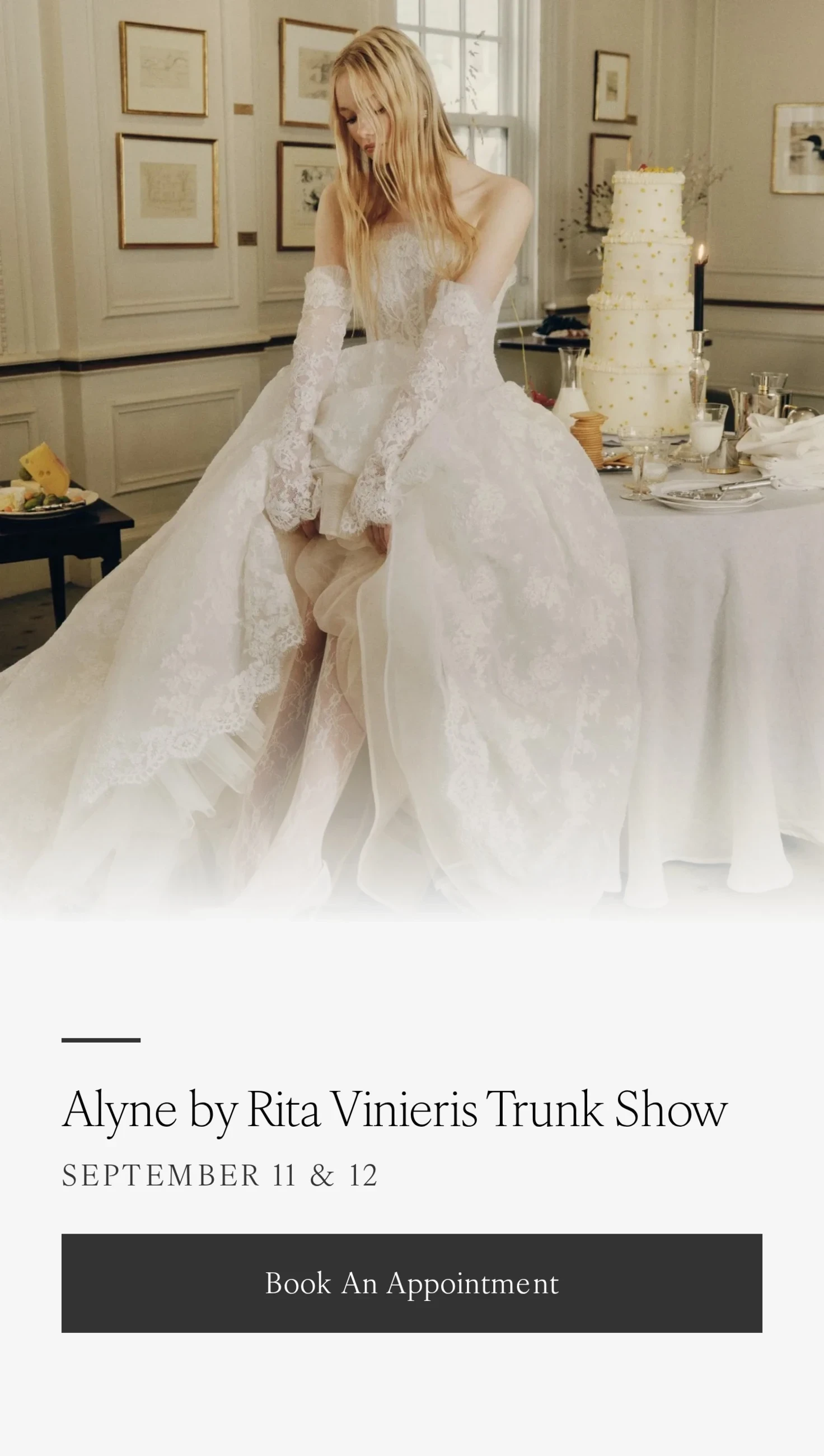 Model wearing Alyne by Rita Vinieris bridal dress, trunk show mobile banner