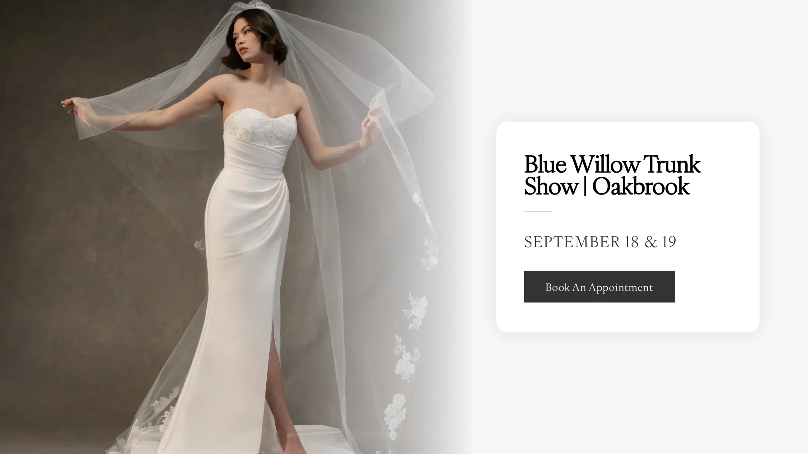 Model wearing Blue Willow bridal dress, trunk show desktop banner