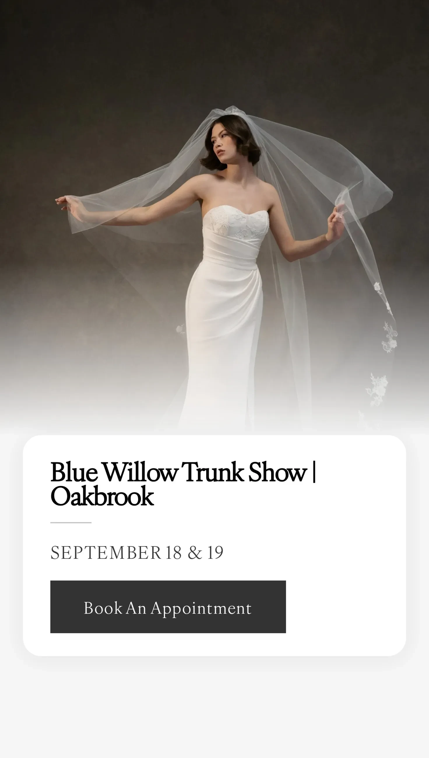 Model wearing Blue Willow bridal dress, trunk show mobile banner