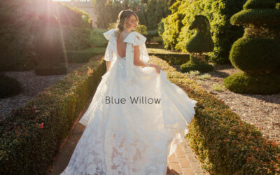 Blue Willow Trunk Show