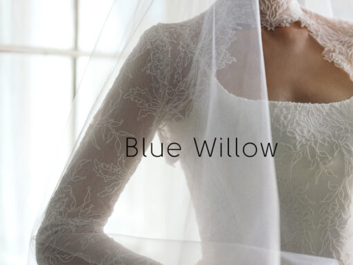 Blue Willow